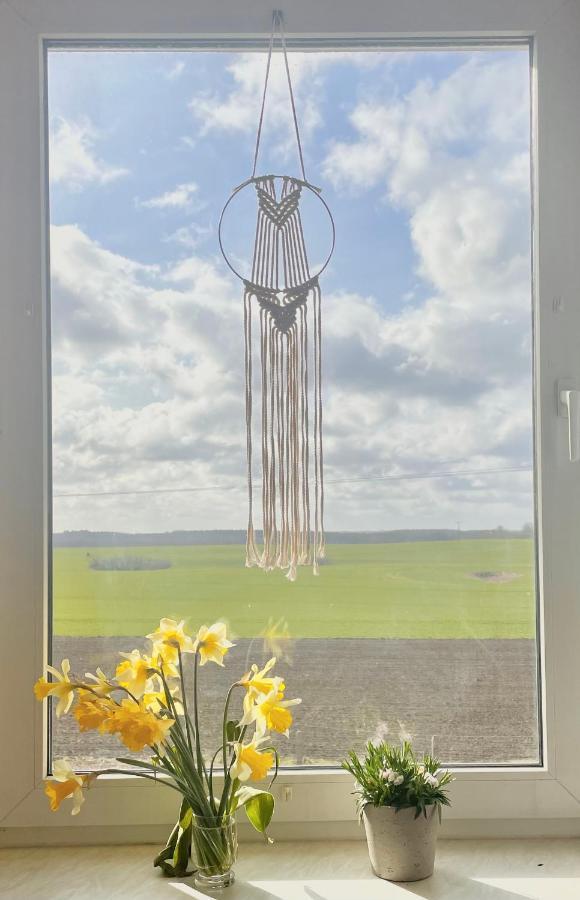"Mts-Haus Zettemin" - 2 Familienfreundliche Ferienwohnungen In Mecklenburg Bagian luar foto